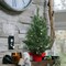 2' Christmas Tree with Red Cloth Base |Tabletop Tree | Indoor/Outdoor Use | Holiday & Christmas Décor | Tabletop Accent | Home & Office Decoration